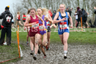 Senior girls 2019 New Balance English Schools Cross Country Champs, Temple Newsam, Leeds. Photo:  David T. Hewitson/Sports for All Pics
